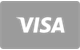 Visa card accepted at SpinDog Casino